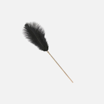 Black Feather Tickler